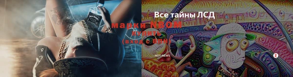 альфа пвп Баксан