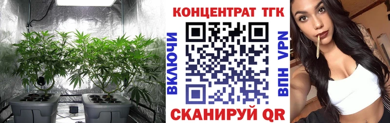 ТГК вейп  Купить где  Барыш 