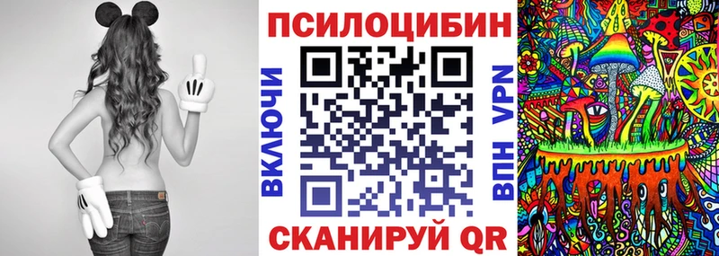 Купить  Барыш  Галлюциногенные грибы MAGIC MUSHROOMS 